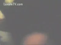 Cute pooch makes out with a horny Married slut